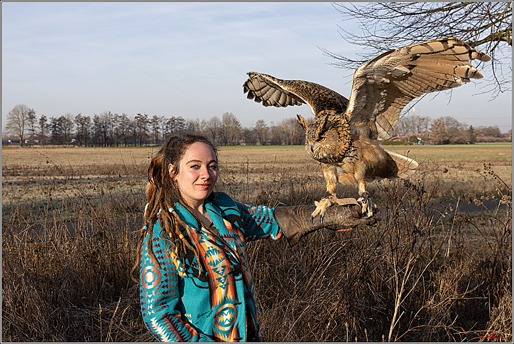 Cheyenne-Halbblut Hunting Wolf in der Falknerei Pierre Schmidt; Gymnich, 09.02.2023